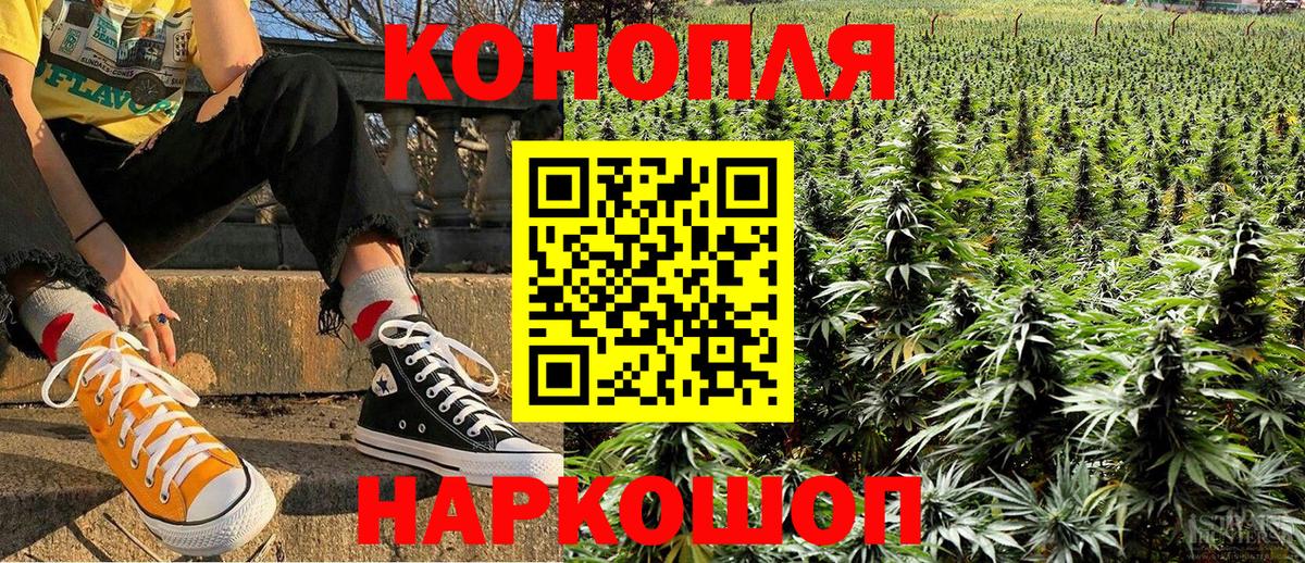 Канабис семена  Конопля Amnesia  Каннабис сатива  Щёкино  Каннабис семена  Вход с VPN 
